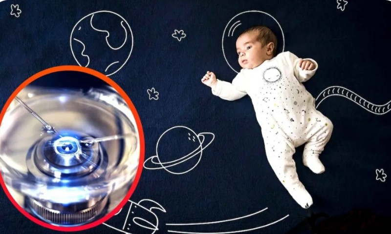 IVF প্রযুক্তির সাহায্যে মহাকাশে জন্ম নেবে শিশু! অসাধ্য সাধন করবেন বিজ্ঞানীরা 26